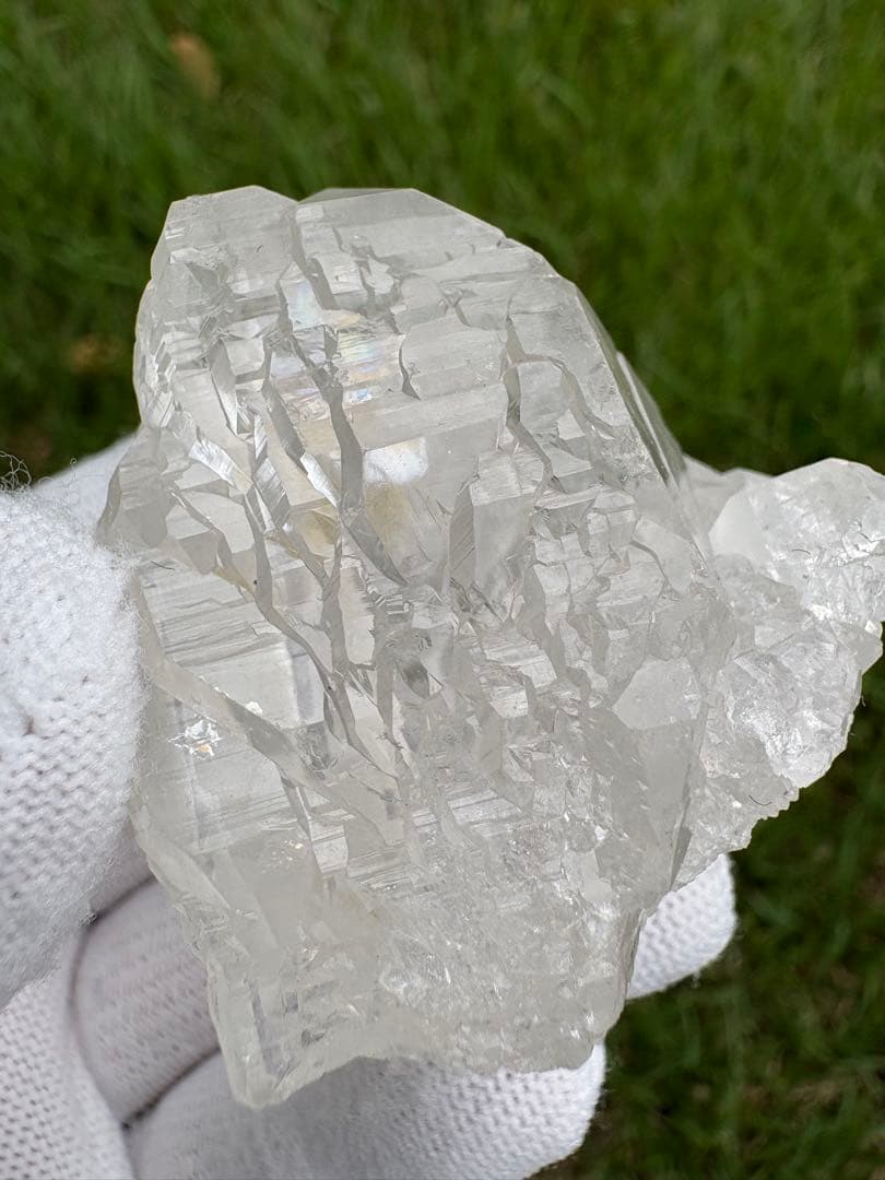 【匿名発送】パキスタン産グインデル