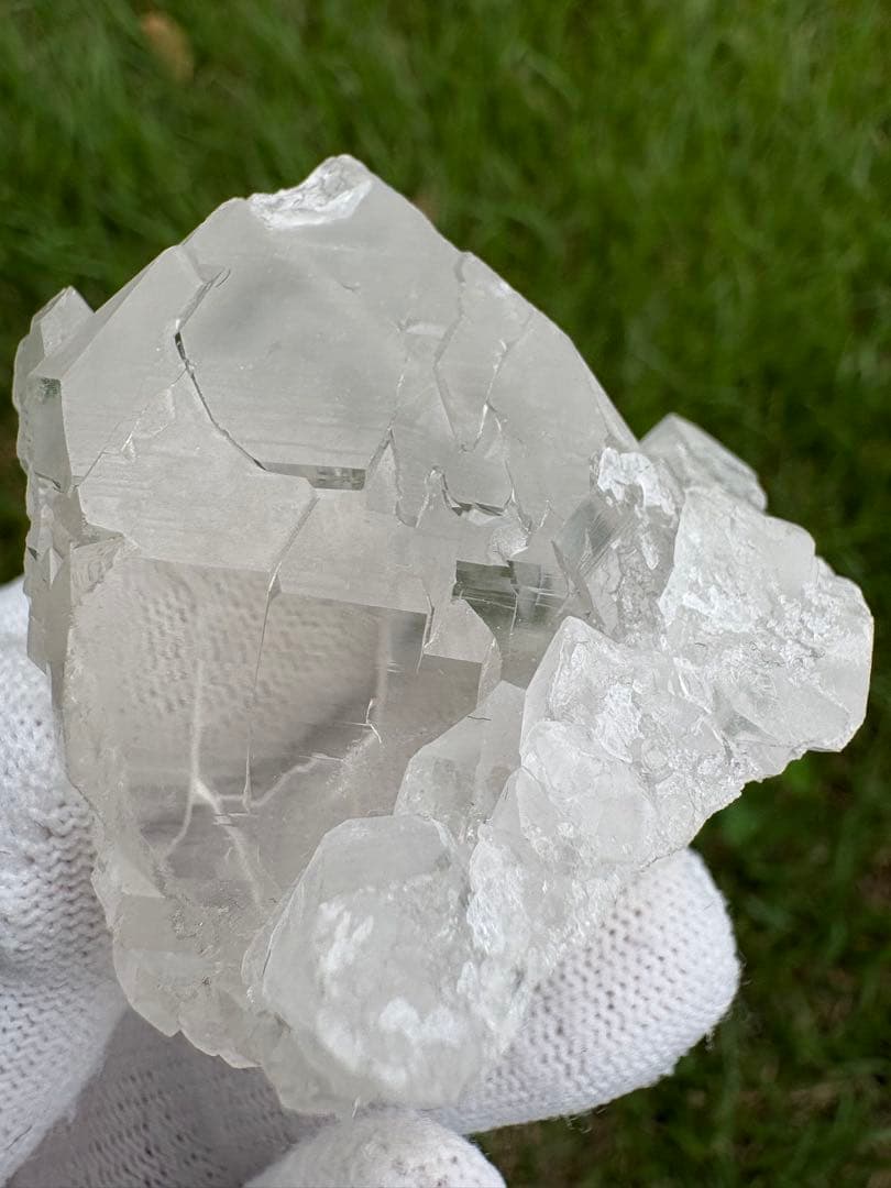 【匿名発送】パキスタン産グインデル