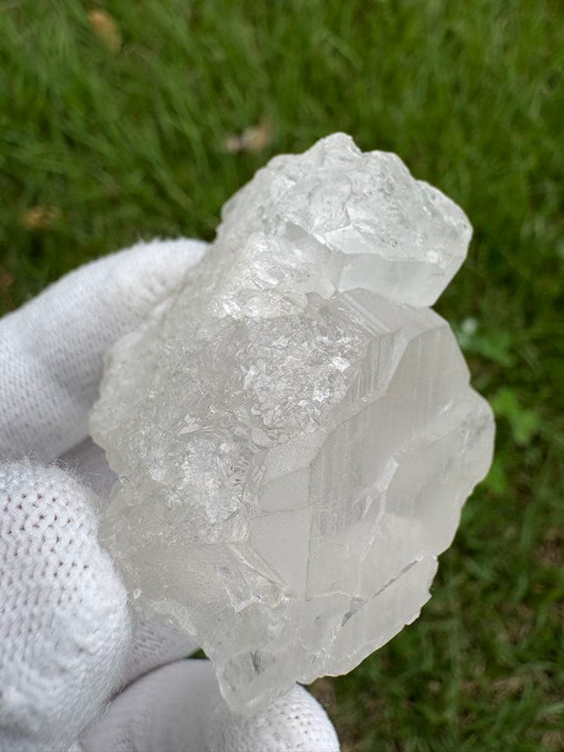 【匿名発送】パキスタン産グインデル