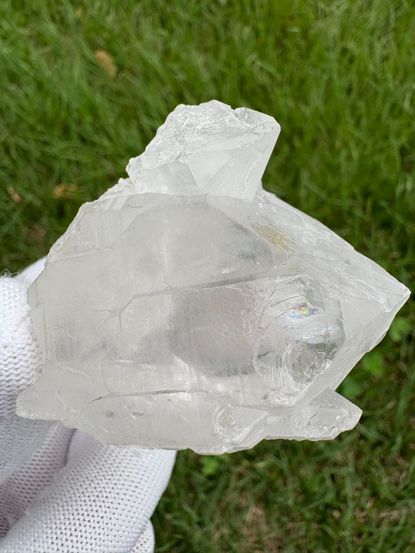 【匿名発送】パキスタン産グインデル