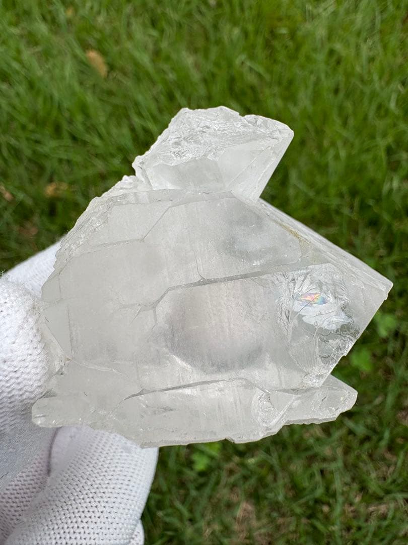 【匿名発送】パキスタン産グインデル