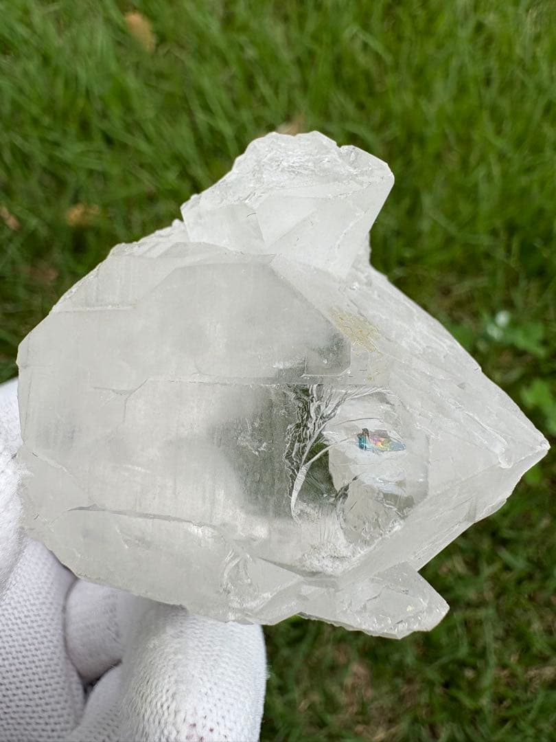 【匿名発送】パキスタン産グインデル