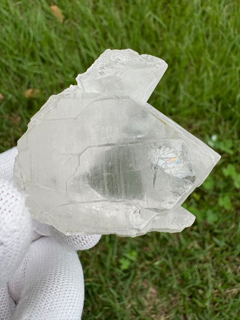 【匿名発送】パキスタン産グインデル