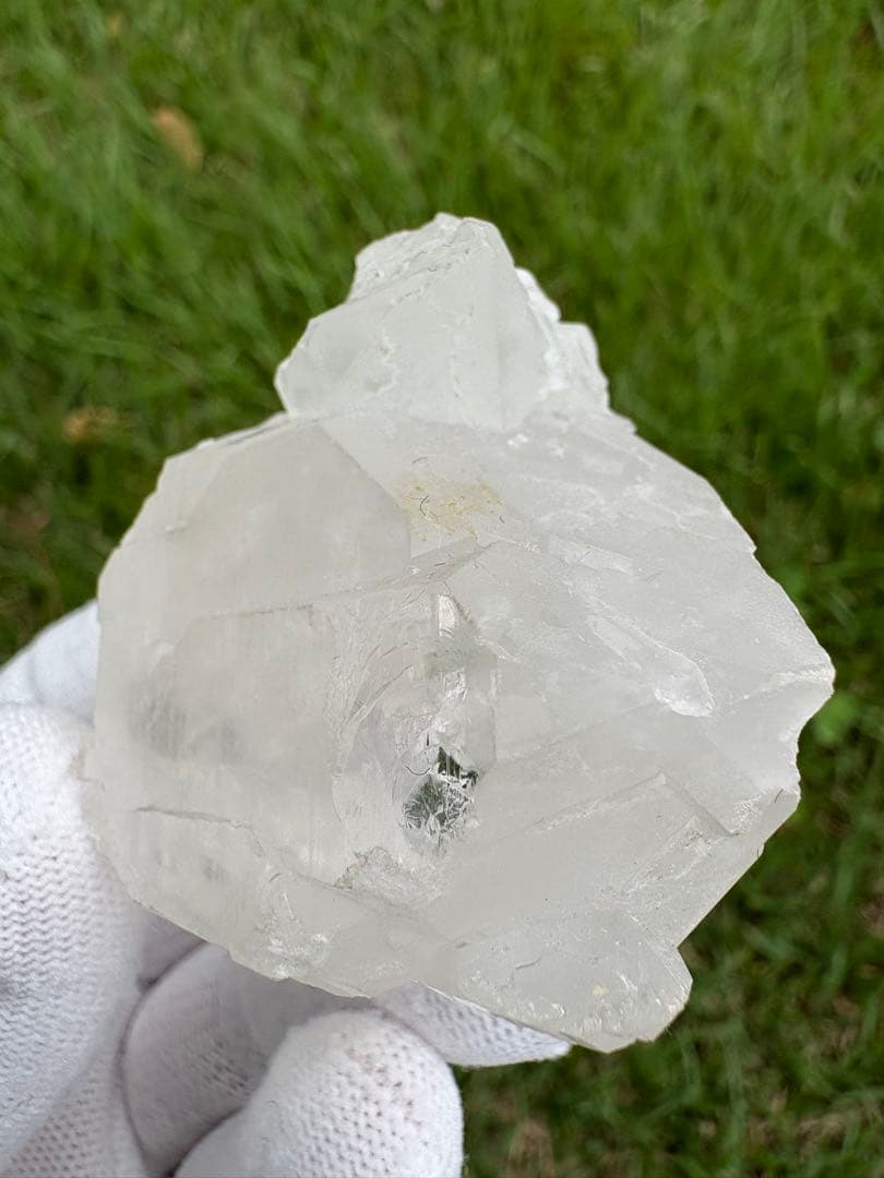 【匿名発送】パキスタン産グインデル