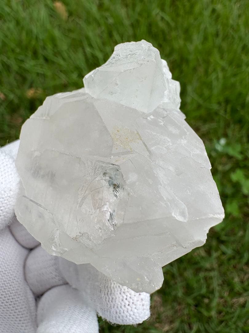 【匿名発送】パキスタン産グインデル