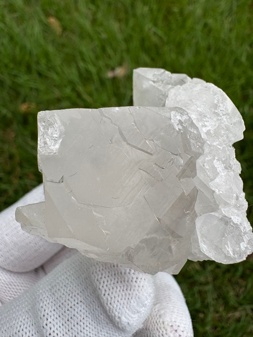 【匿名発送】パキスタン産グインデル