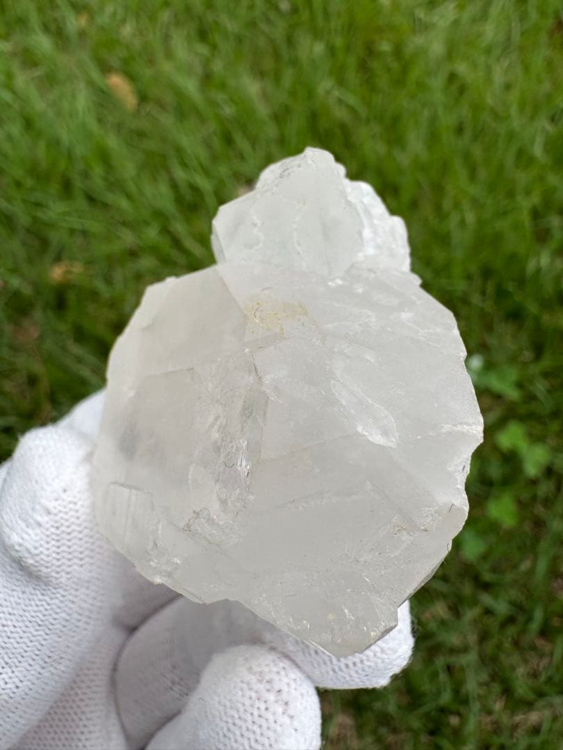 【匿名発送】パキスタン産グインデル