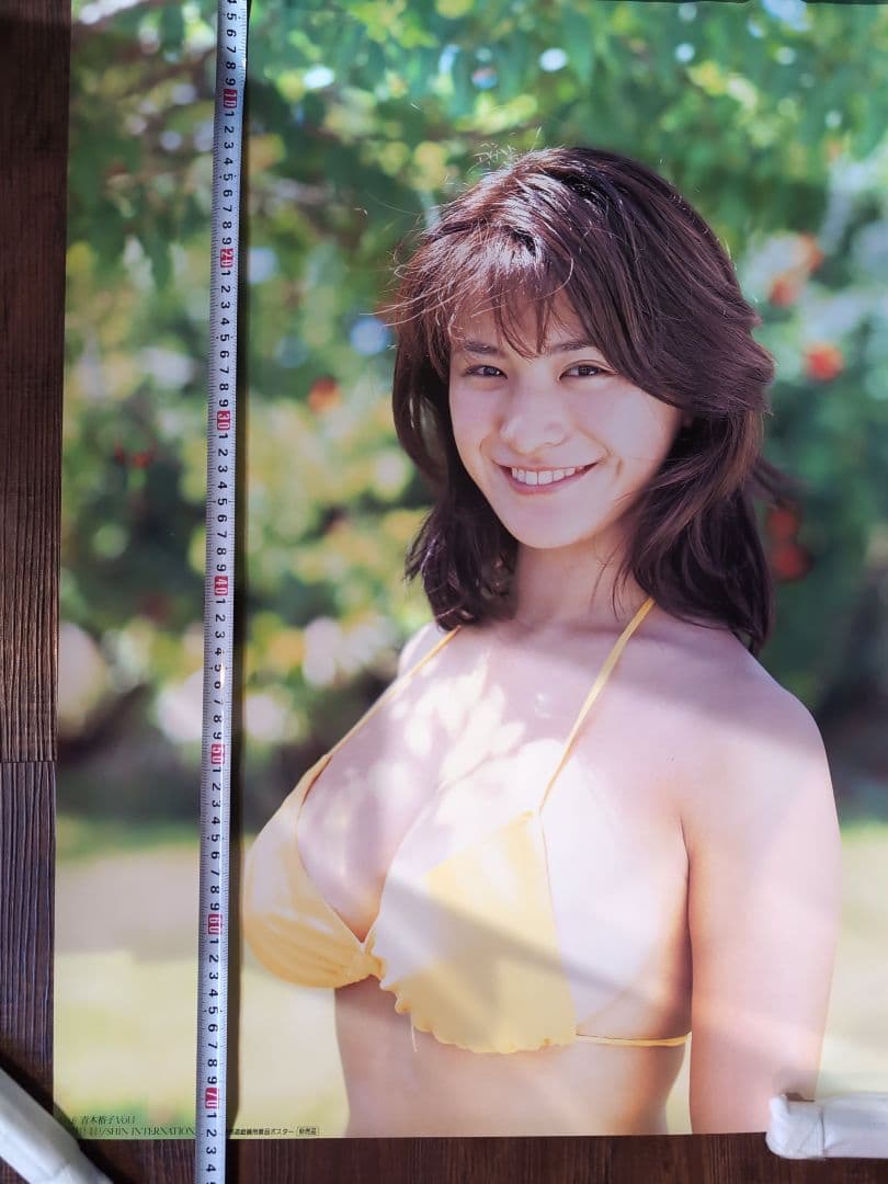 青木裕子 ポスター10枚セット ◇ 非売品 ◇ - メルカリ