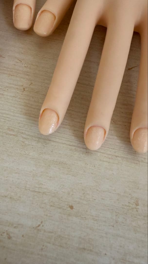 【骨折なし】JNEC 認定モデルハンド