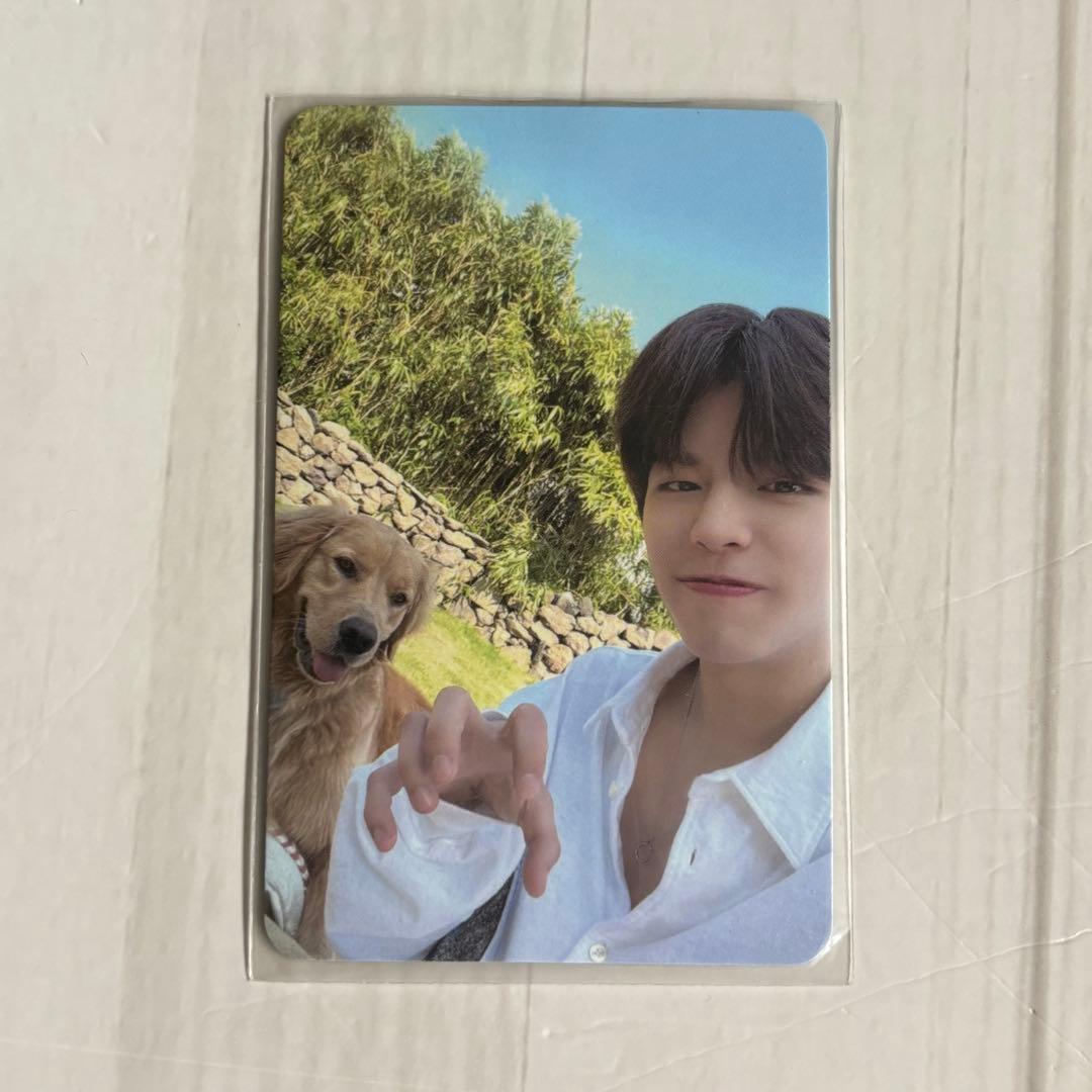 Stray Kids スンミン 済州 チェジュ トレカ JYP スキズ 犬 - メルカリ