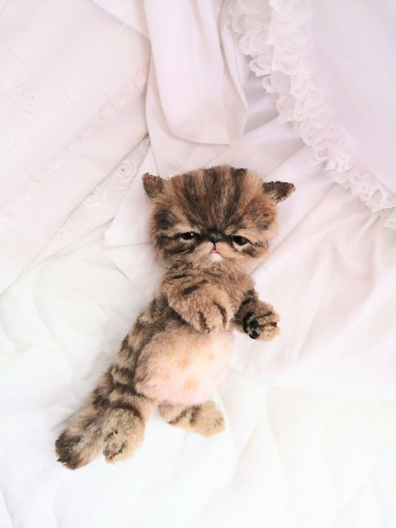 eriちゃん❤️オーダー❤️エキゾチック子猫ちゃん♡アートドール