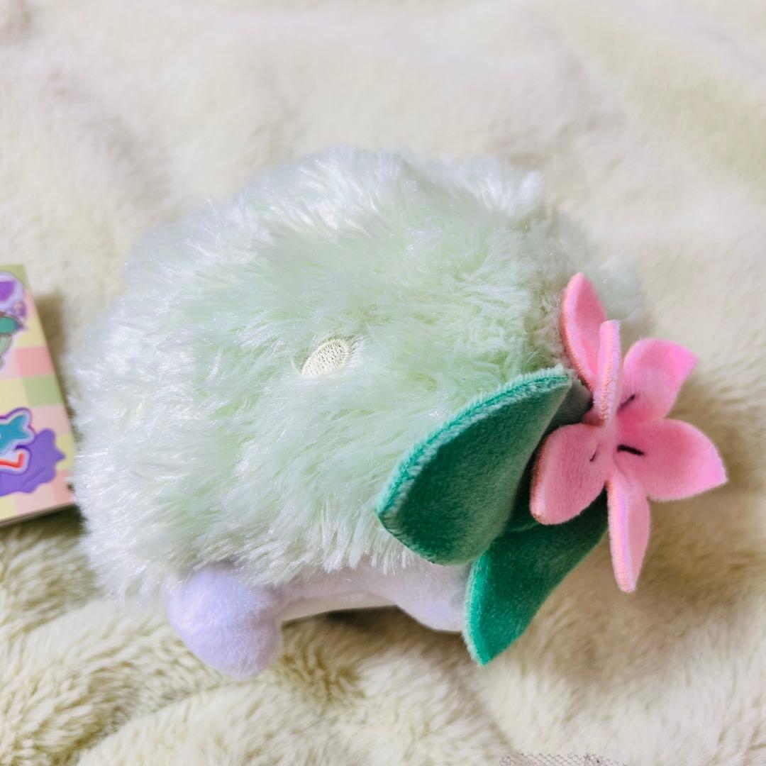 へんしん！メタモン ぬいぐるみ シェイミ ポケモンセンター限定 - メルカリ