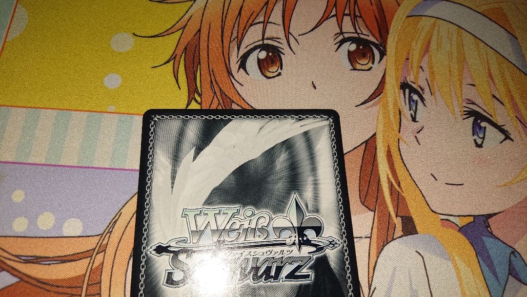 鏡蓮華のブレスレット フェルン SP サイン