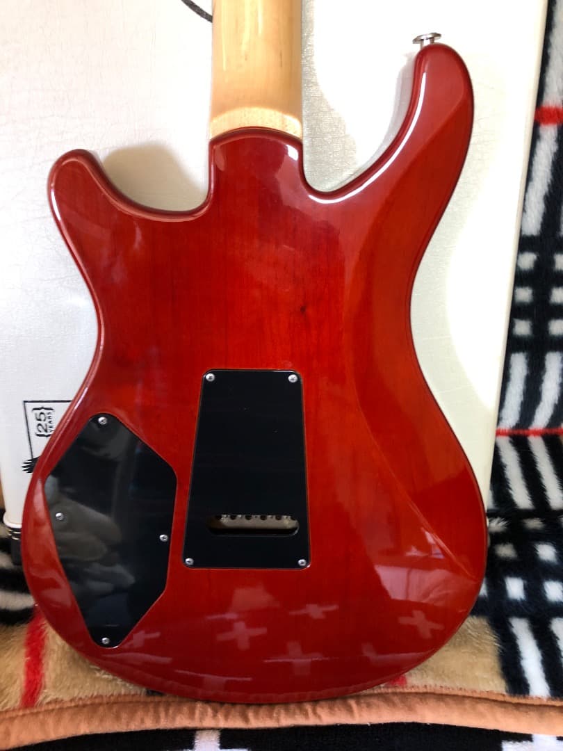 PRS 25th Anniversary 305 Kiki Itoh様専用 - メルカリ