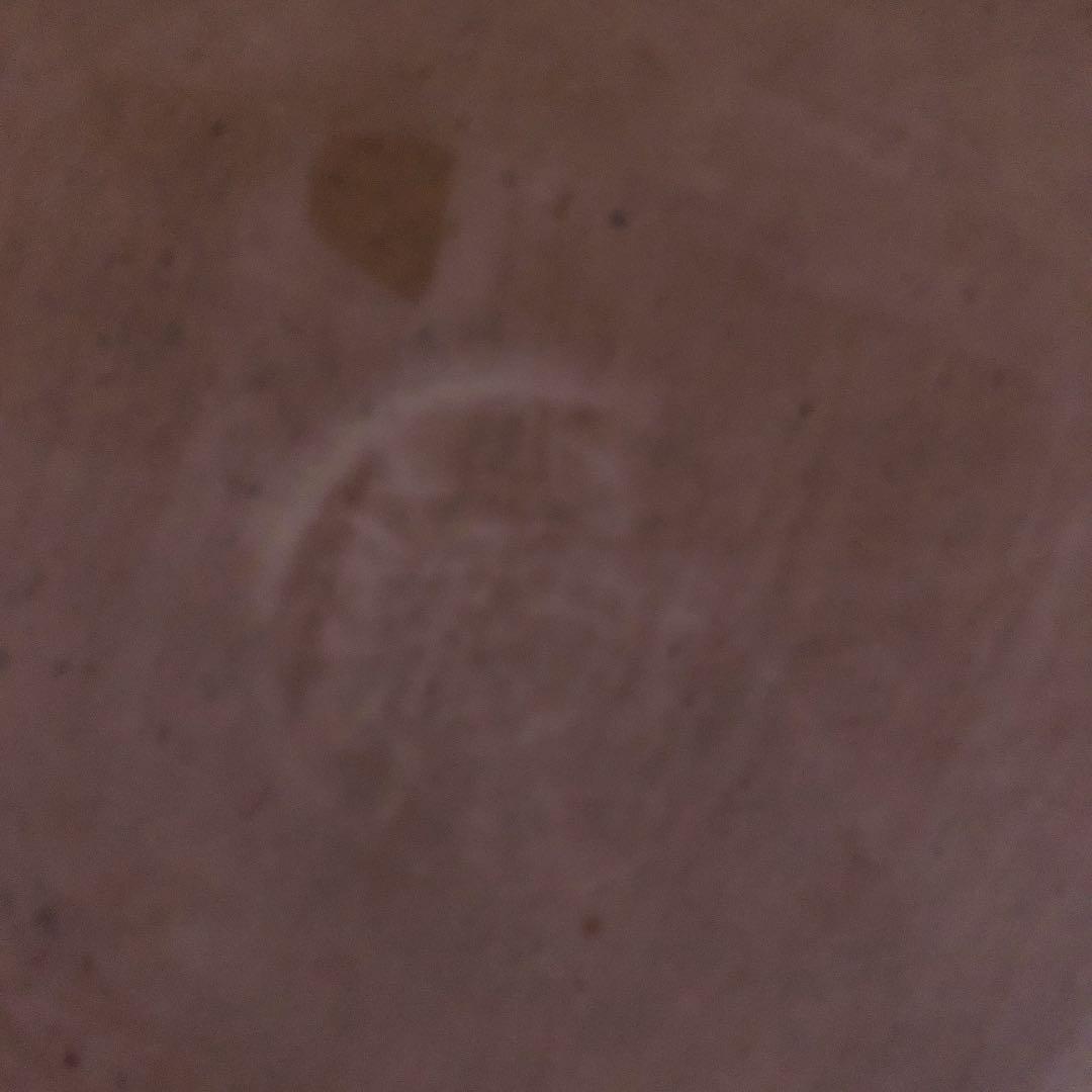 カケ1 チップ3 鹿児島陸 ネコ 椿 皿 - メルカリ