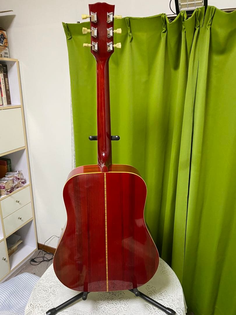 新春特価 カントリーしようぜ！ProMartin ハミングバード エレアコ