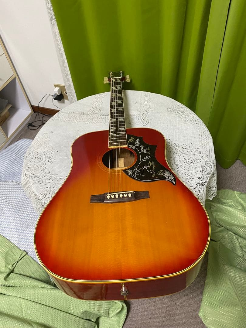 新春特価 カントリーしようぜ！ProMartin ハミングバード エレアコ