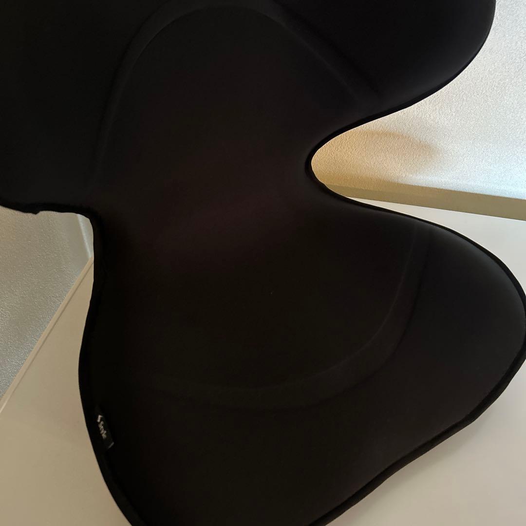 Style SMART スタイルスマート ブラック YS-AK03A