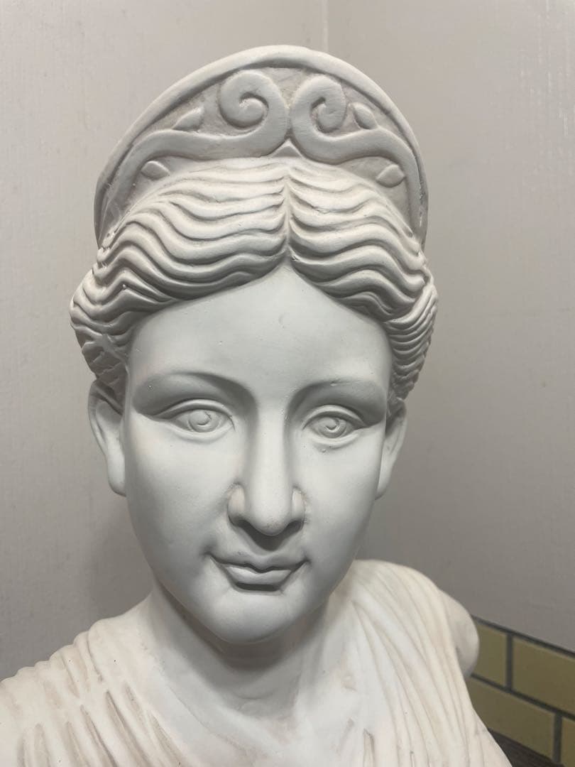 パジャント ベレニケ 石膏像 胸像 美術 デッサン