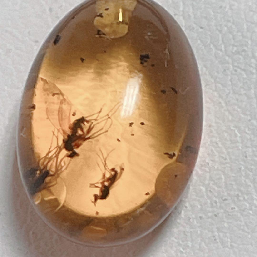 琥珀虫入りペンダントブラックスピネルネックレスNO25-2407