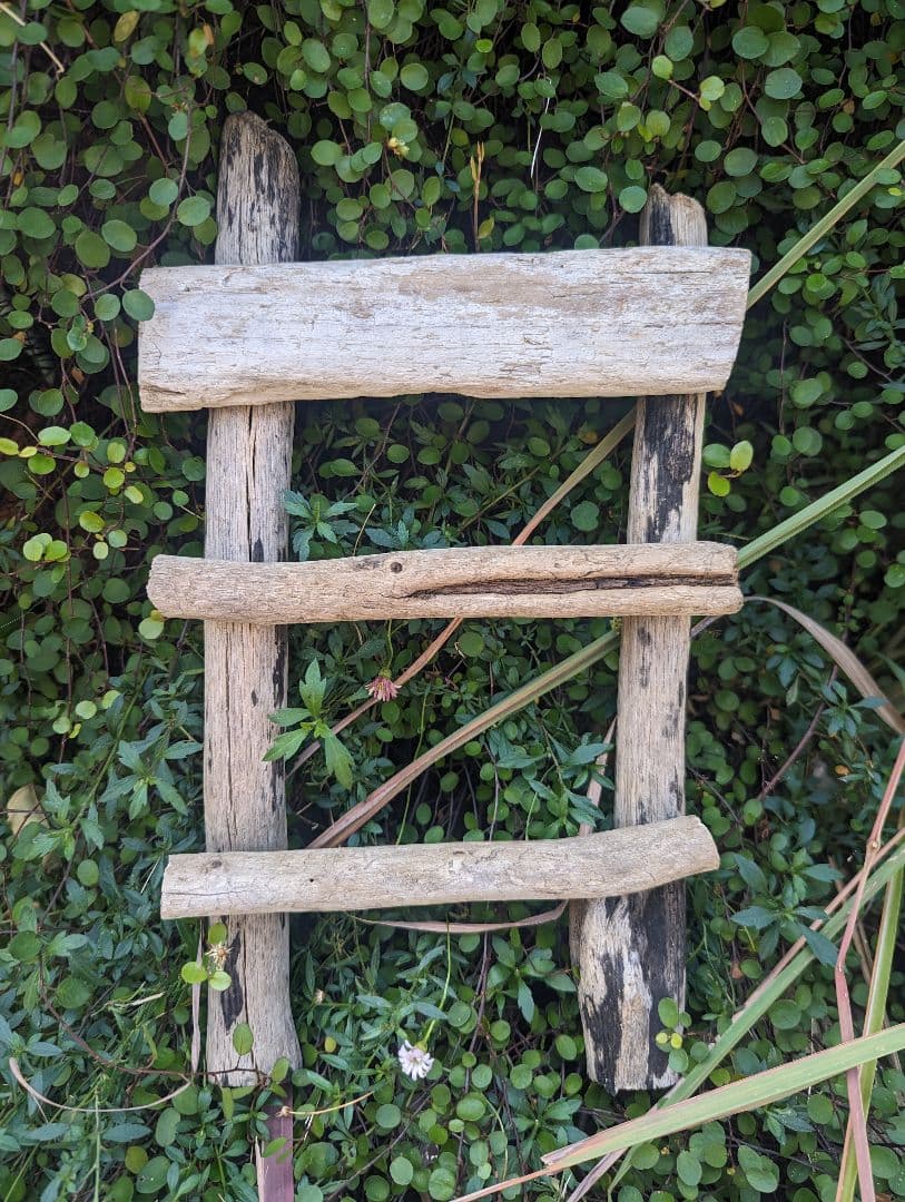 ウッドラダー 流木インテリア 梯子