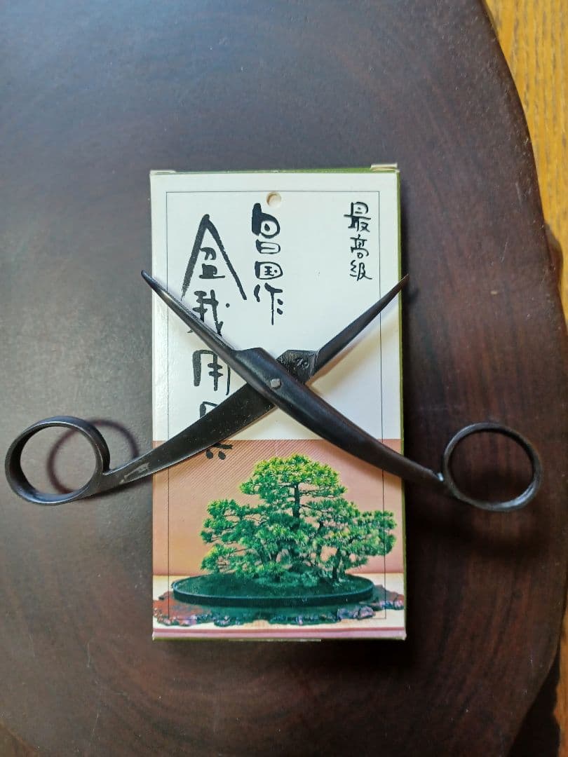 昌国　針金外し　No.10