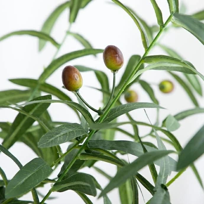 【光触媒/抗菌防臭】人工観葉植物 オリーブ 高さ125cm