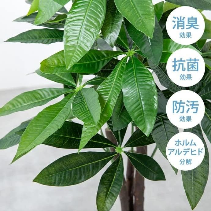 【光触媒/抗菌防臭】人工観葉植物 オリーブ 高さ125cm
