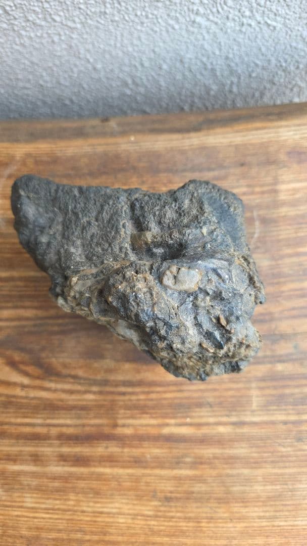 幸太郎石　くずや石　鑑賞石