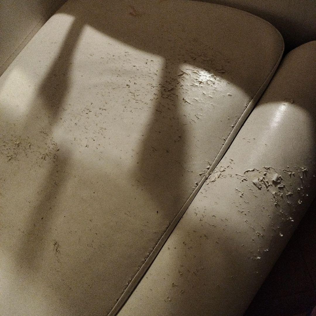 リクライニングチェア　ネオ電動