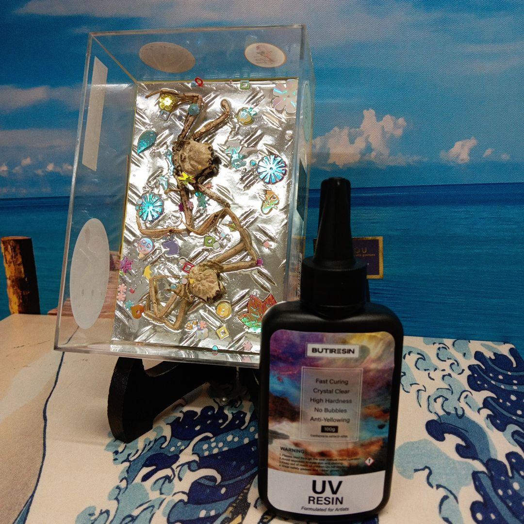 平家蟹稀少レア源平合戦下関壇之浦屋島檀ノ浦平家怨霊人面蟹リアル凹凸立体ペア標本品