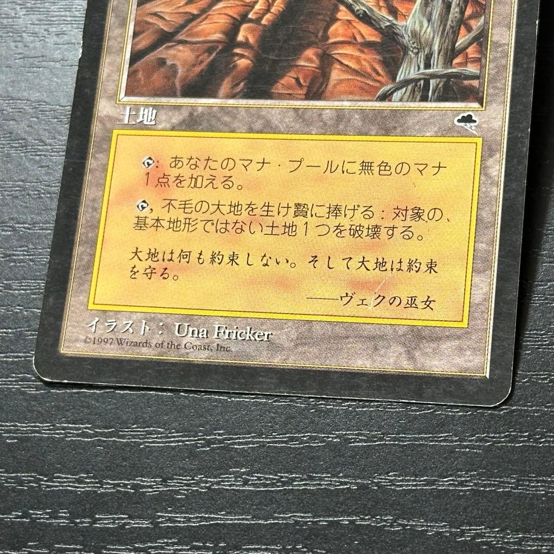 MTG 不毛の大地 日本語 初版 4枚