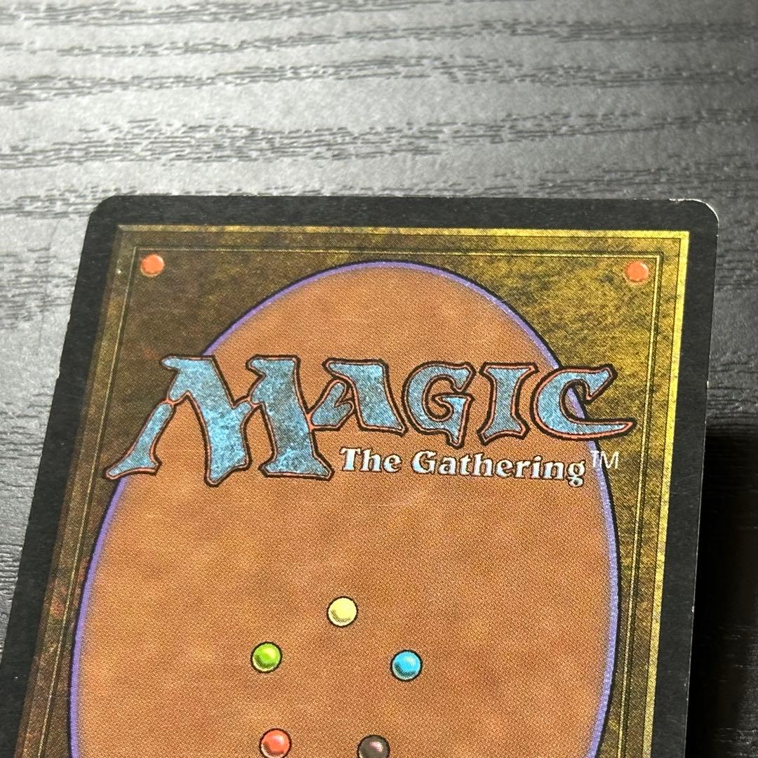 MTG 不毛の大地 日本語 初版 4枚