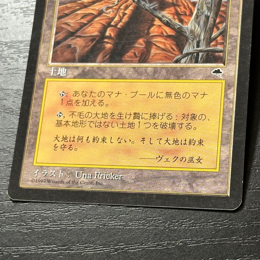 MTG 不毛の大地 日本語 初版 4枚