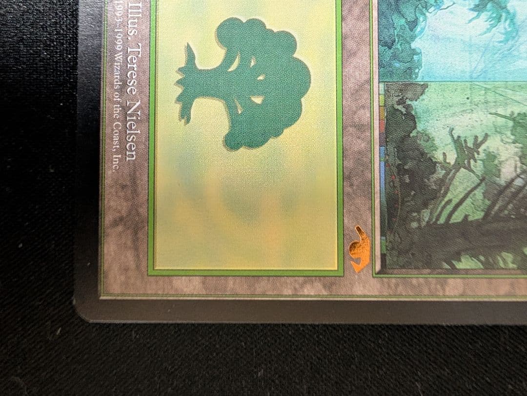 Guruランド グルランド 森