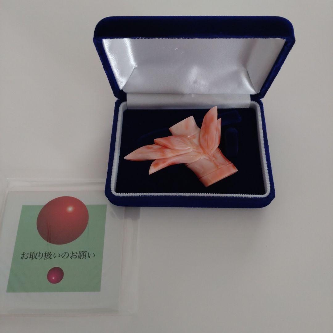 珊瑚 希少価値 サンゴ 帯留め 桃色サンゴ ボケサンゴ 宝石珊瑚 - メルカリ