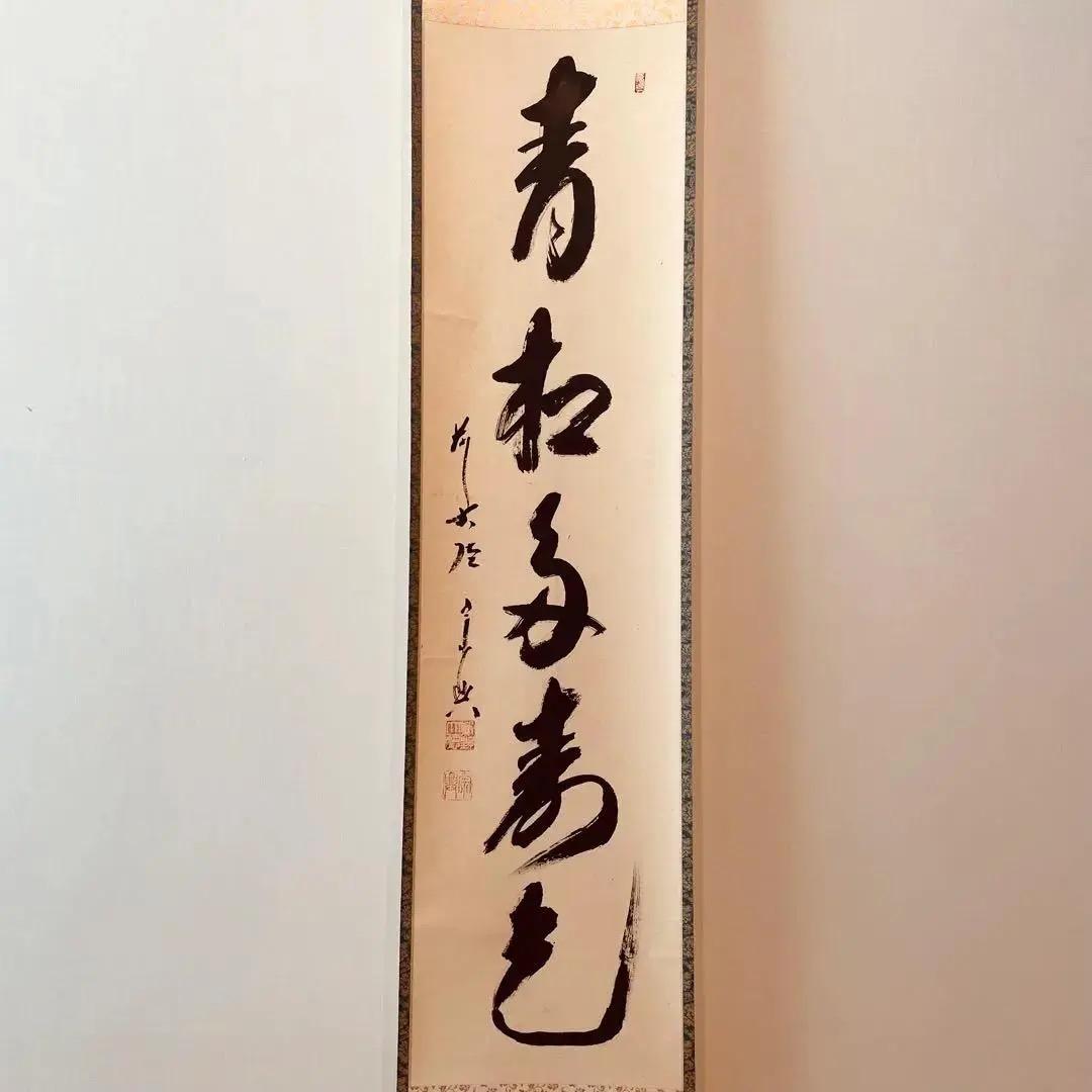1110 藤井誠堂「美人画」共箱 日本画 掛軸 臨済宗 大徳寺