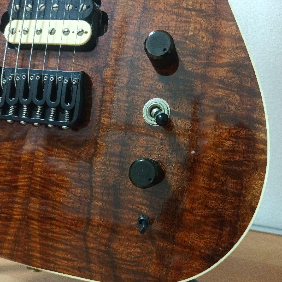 ギター Josh Parkin Guitars Custom Order