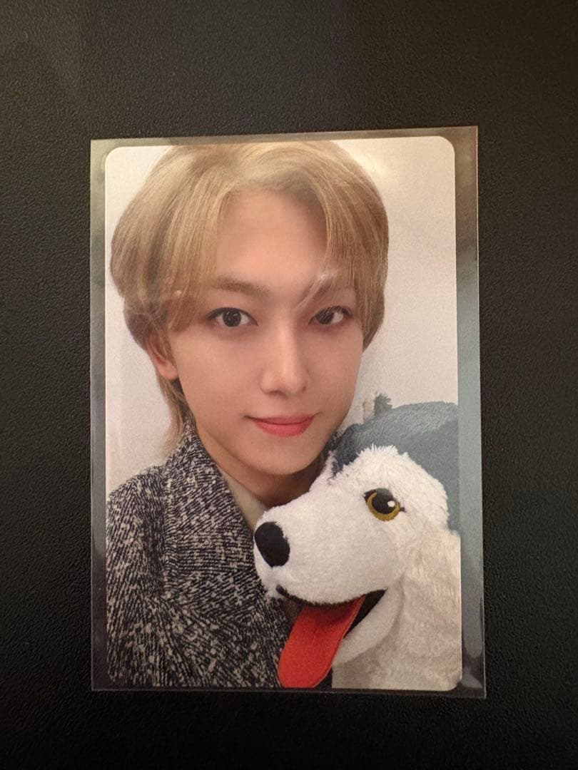 &TEAM FUMA フウマ 雪明かり 狼トレカ - メルカリ