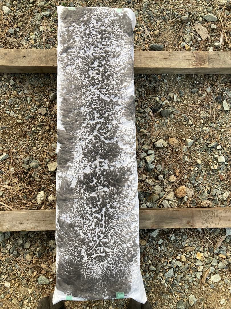 四角台付石燈籠残欠　竿　基壇　慶安元年銘記　江戸時代　1648年造