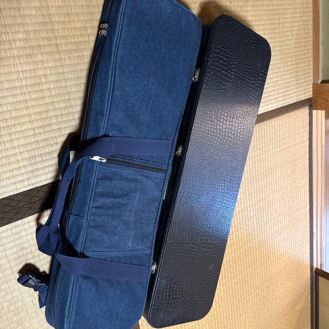 三線本体 ソフトキャリー　ハードケース付き