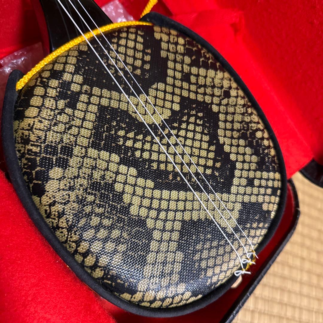 三線本体 ソフトキャリー　ハードケース付き