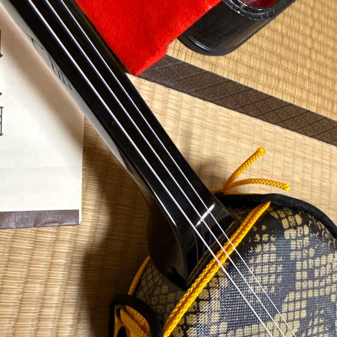 三線本体 ソフトキャリー　ハードケース付き