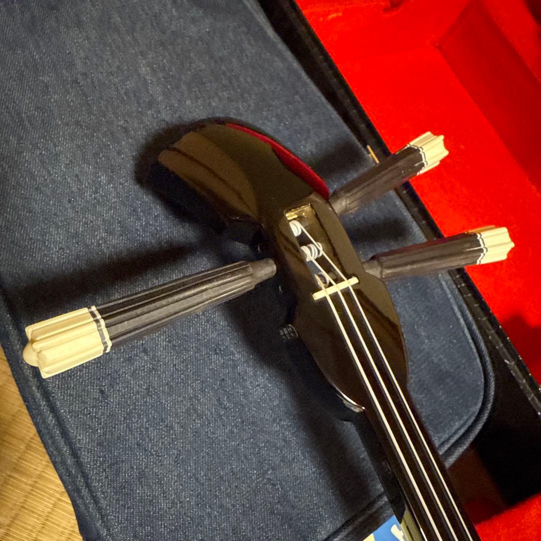 三線本体 ソフトキャリー　ハードケース付き