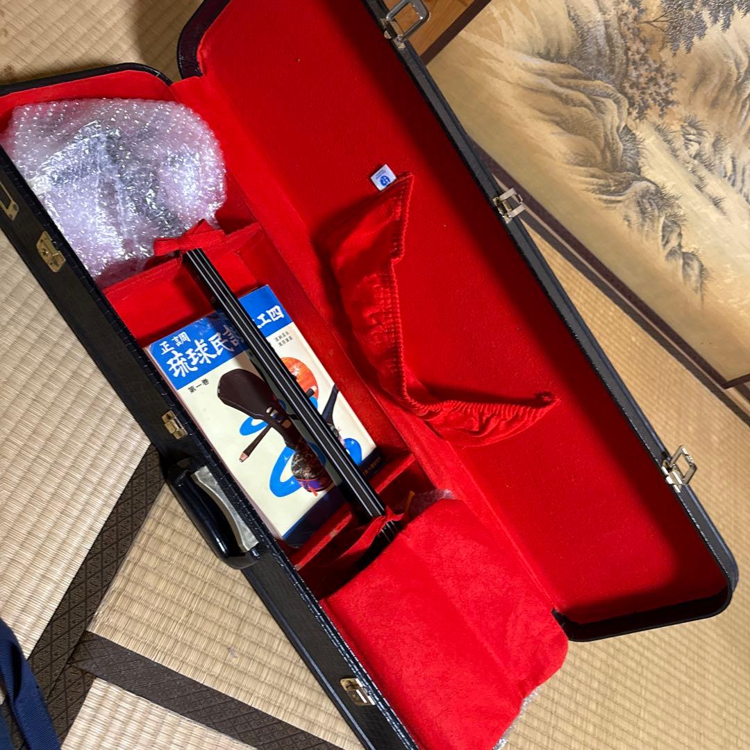 三線本体 ソフトキャリー　ハードケース付き