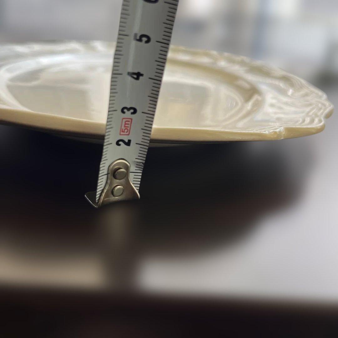 【レア】フランスアンティーク サルグミンヌ 花リムオーバル 大 約37.6cm