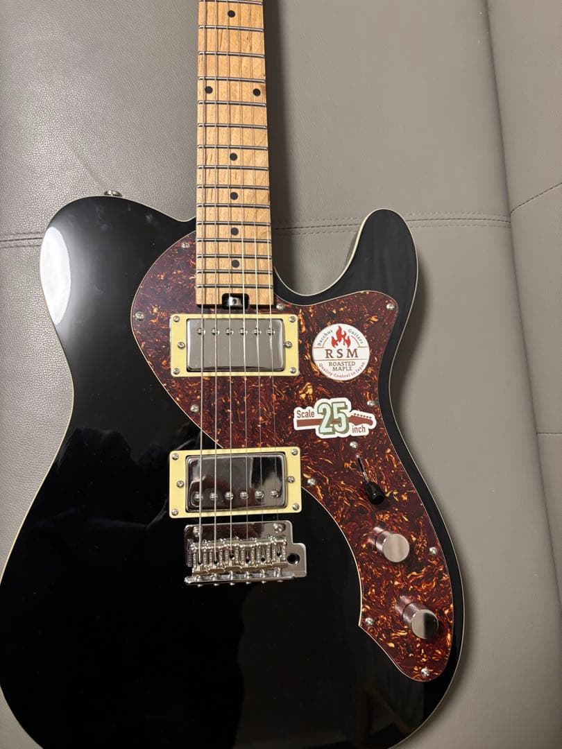 【最終値下げ】Bacchus BSH-STD25 RSM/M