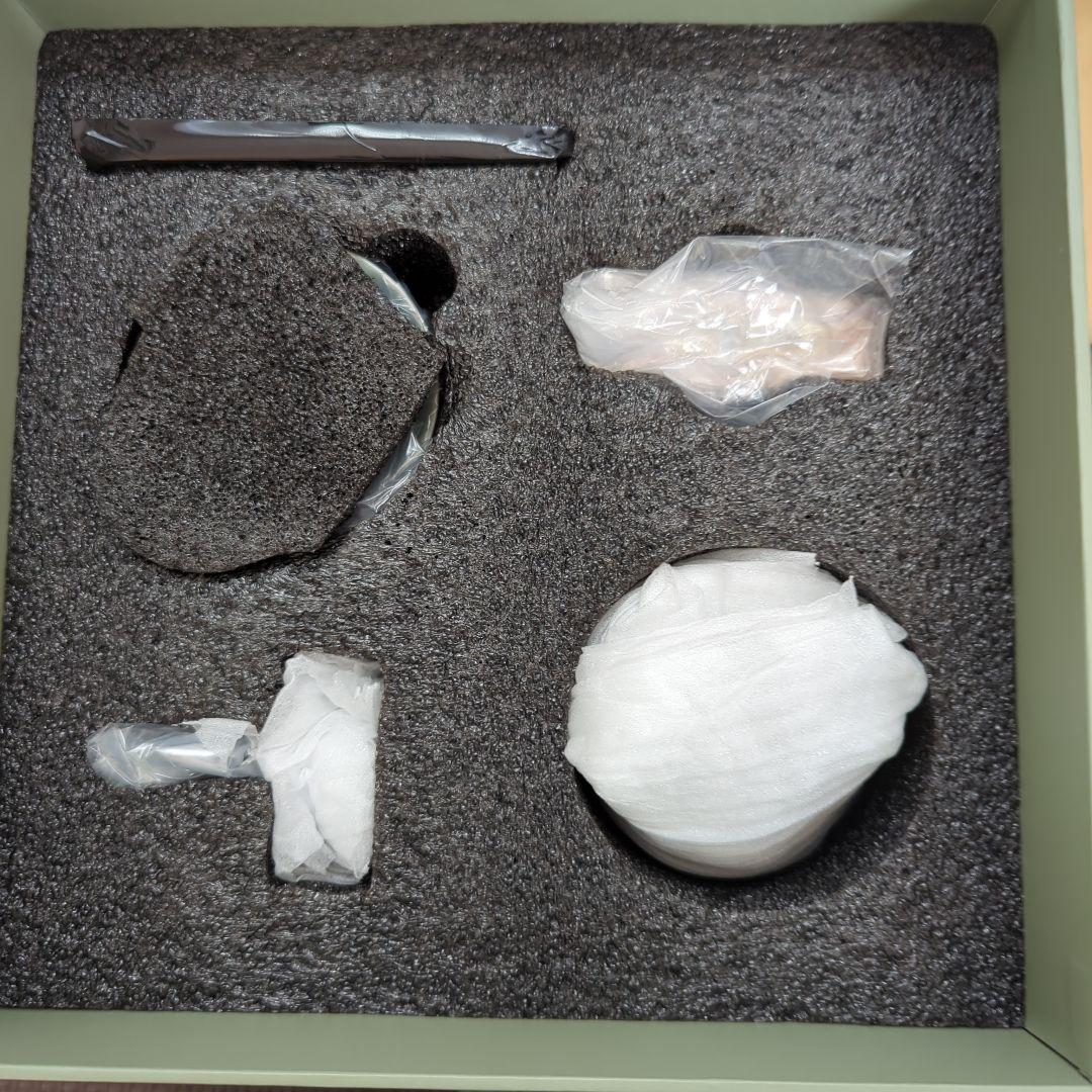 観葉植物　コーデックス　グラキリス　アガベ　オベサ　爬虫類フィギュア