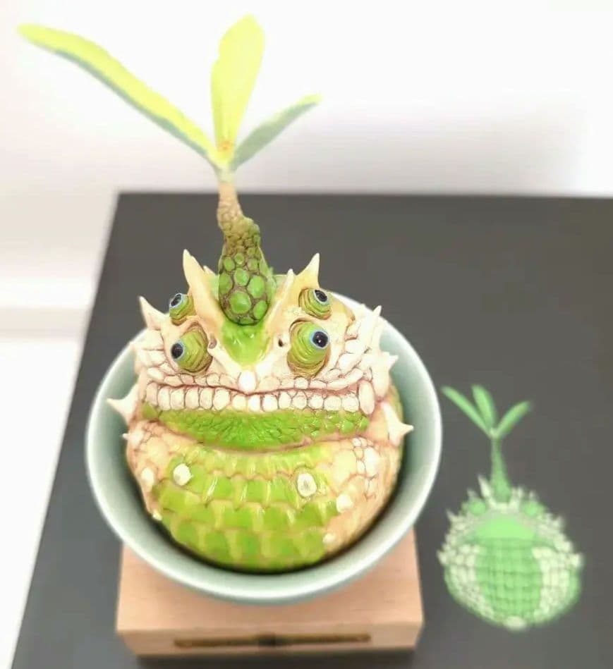 観葉植物　コーデックス　グラキリス　アガベ　オベサ　爬虫類フィギュア