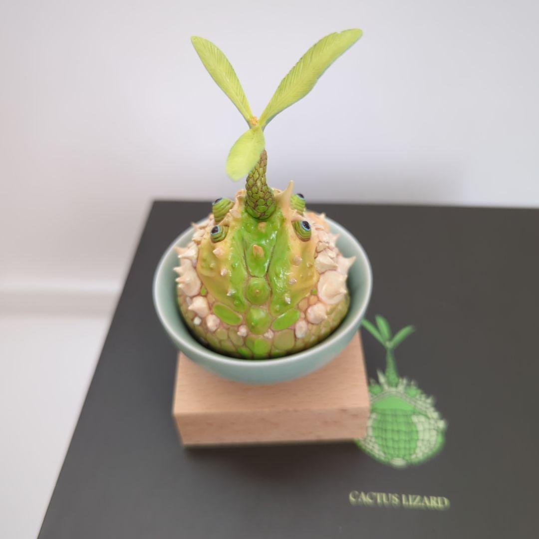 観葉植物　コーデックス　グラキリス　アガベ　オベサ　爬虫類フィギュア